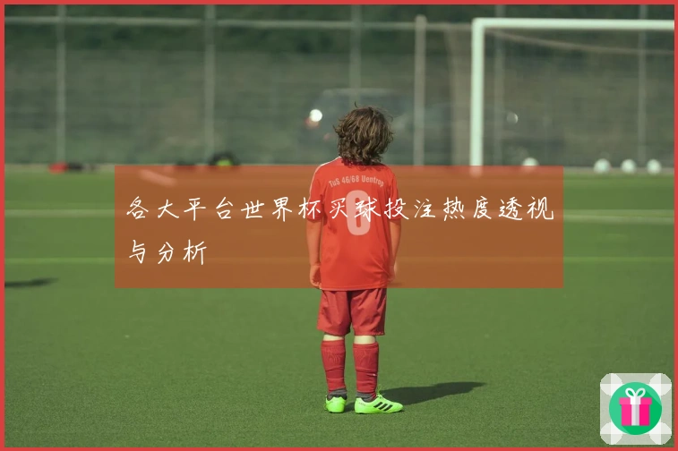 各大平台世界杯买球投注热度透视与分析