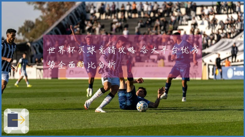 世界杯买球竞猜攻略 各大平台优劣势全面对比分析