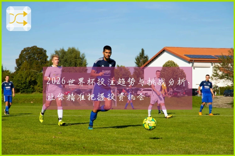 2026世界杯投注趋势与挑战分析，让你精准把握投资机会