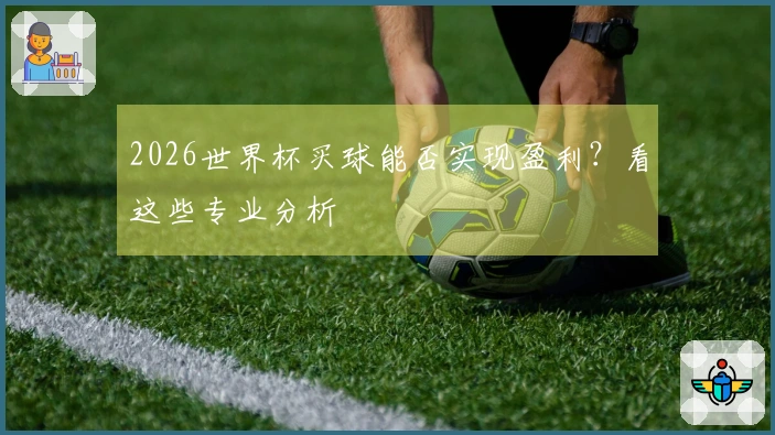 2026世界杯买球能否实现盈利？看这些专业分析