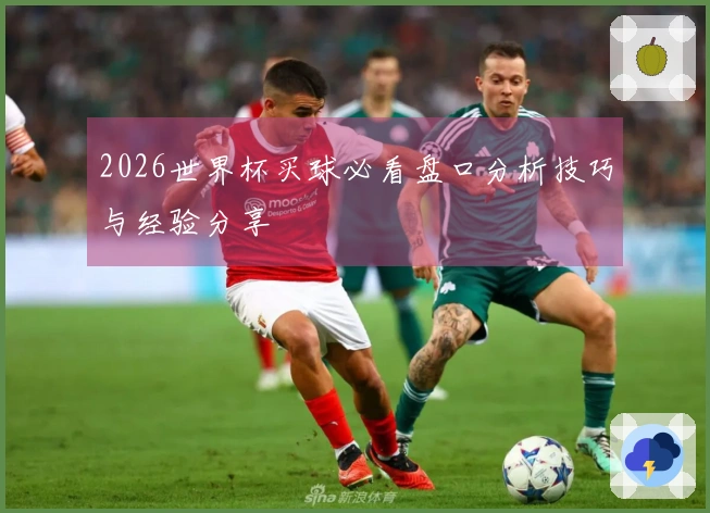 2026世界杯买球必看盘口分析技巧与经验分享