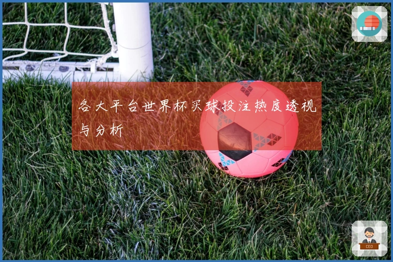 各大平台世界杯买球投注热度透视与分析