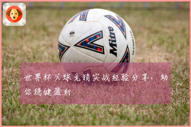 世界杯买球竞猜实战经验分享，助你稳健盈利